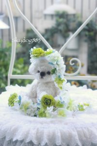 Summer wedding 2025・TeamB・ハンギングリボン
