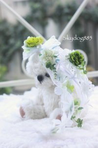 Summer wedding 2025・TeamA ・ハンギングリボン
