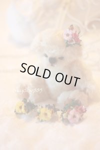 SALE ⭐︎ Flora petite ミニクリップ
