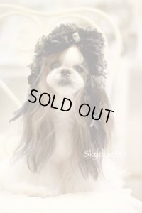 チェック＆ブラック　・　ダブルハンギング20cm