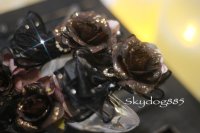 ブラックローズ✨左右ツインズ・セット・19cm