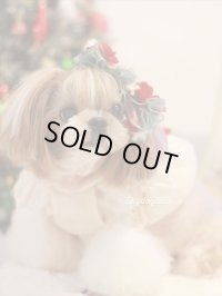 christmas2025・ベルベットローズ・グリーン