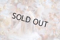 christmas2025・クリスマスローズ