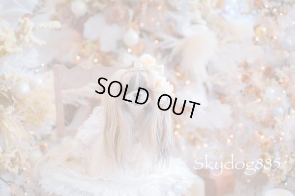 画像1: christmas2025・クリスマスローズ