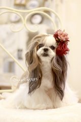 🖤Black と　Red ❤️ 本日21時オープンです❣️