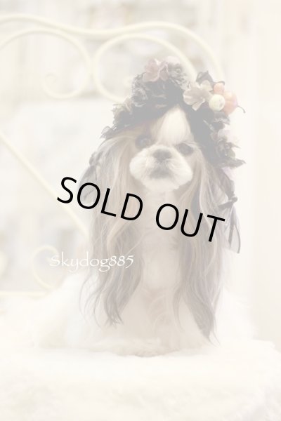 画像1: ハロウィン🎃デザイン・ダブルハンギング17cm (1)