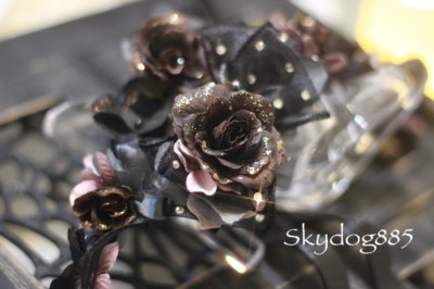 画像1: ブラックローズ✨左右ツインズ・セット・19cm