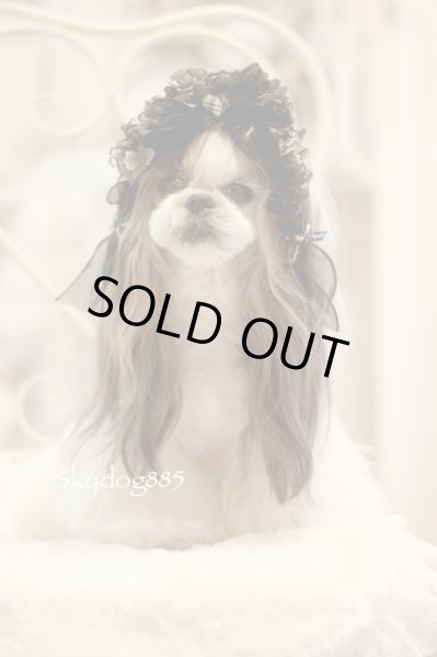 画像1: チェック＆ブラック　・　ダブルハンギング15cm (1)