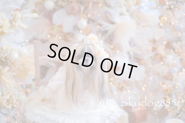 画像1: christmas2025・クリスマスローズ (1)