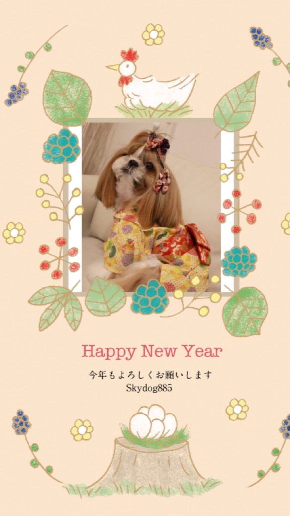 Happy new year ！2017！(o^^o)