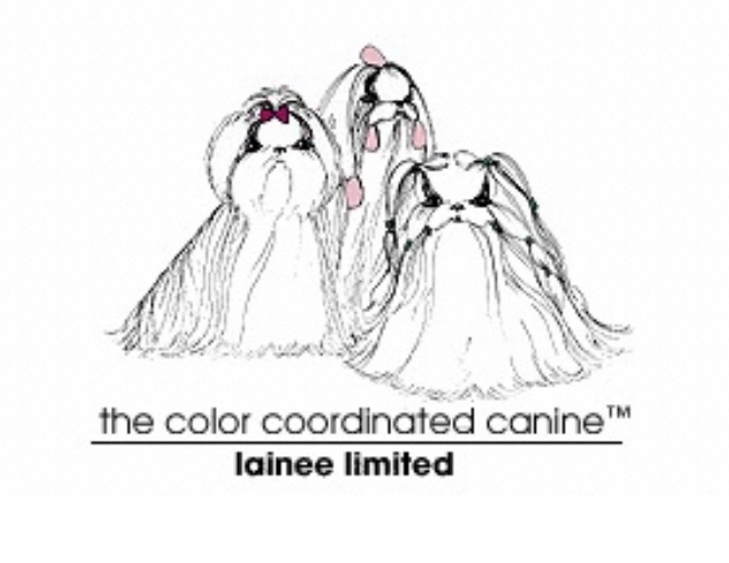 レイニーラテックスバンド・ペーパー・ゴム用シザー入荷しました✈️