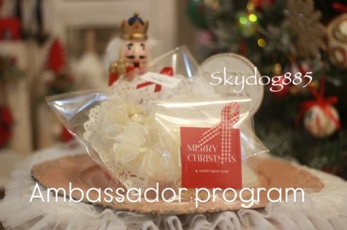 2025 Skydog885✨🎄christmas